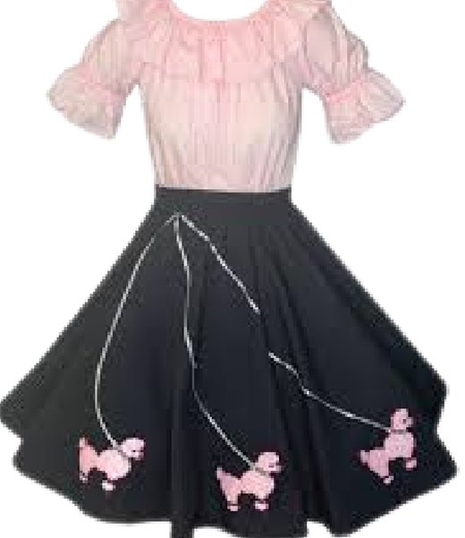 Skirt & Blouse Set